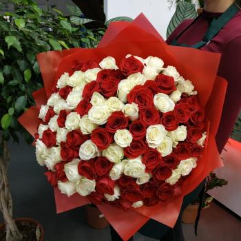 Букет Букет из 101 розы (красные и белые розы) артикул  114503
