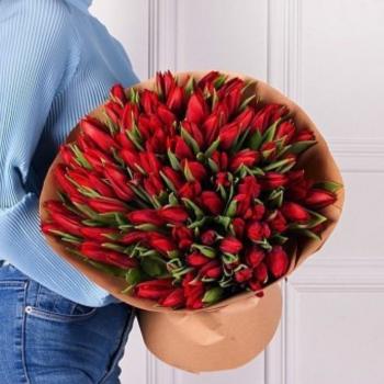 Красные тюльпаны 101 шт